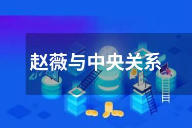 赵薇与中央关系