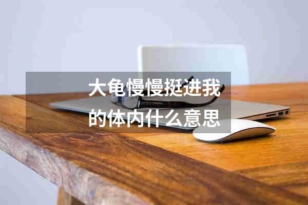 大龟慢慢挺进我的体内什么意思