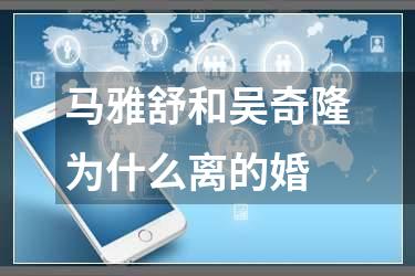 马雅舒和吴奇隆为什么离的婚