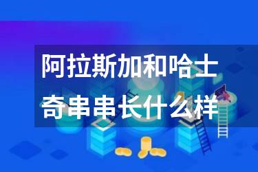 阿拉斯加和哈士奇串串长什么样