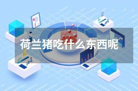 荷兰猪吃什么东西呢