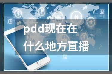pdd现在在什么地方直播