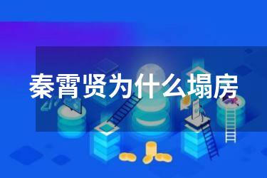 秦霄贤为什么塌房