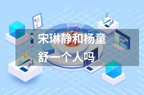 宋琳静和杨童舒一个人吗