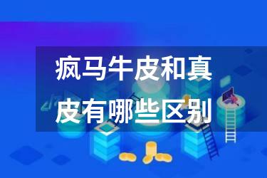 疯马牛皮和真皮有哪些区别