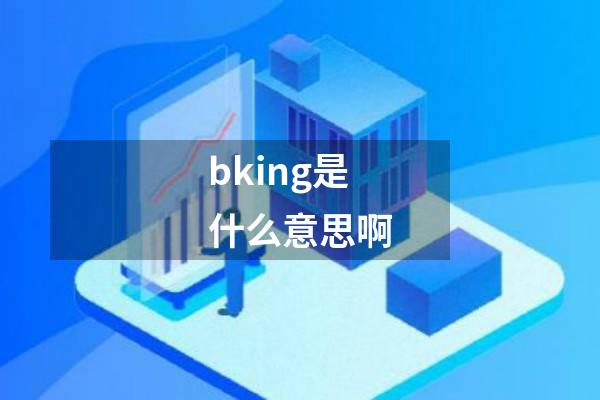 bking是什么意思啊