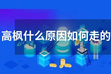 高枫什么原因如何走的