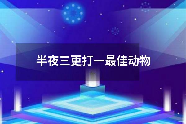 半夜三更打一最佳动物