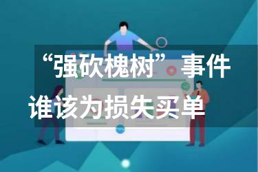 “强砍槐树”事件谁该为损失买单