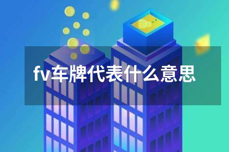 fv车牌代表什么意思