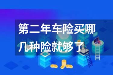 第二年车险买哪几种险就够了