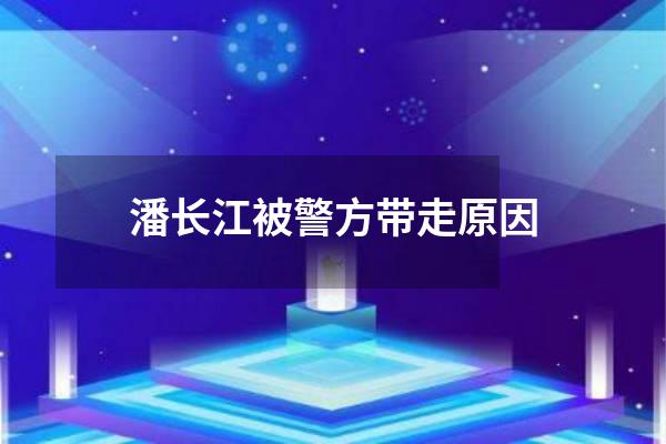 潘长江被警方带走原因