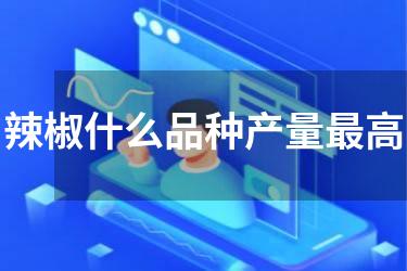 辣椒什么品种产量最高