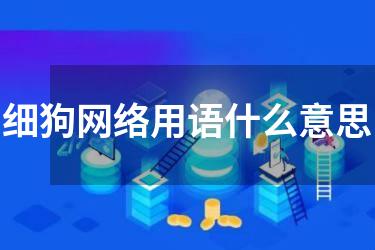 细狗网络用语什么意思