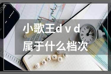 小歌王dⅴd属于什么档次