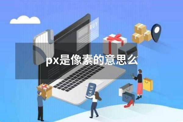 px是像素的意思么