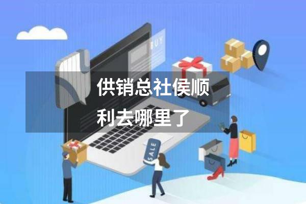 供销总社侯顺利去哪里了