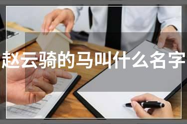 赵云骑的马叫什么名字