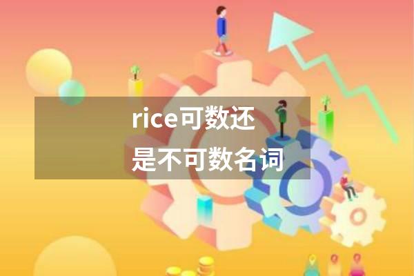 rice可数还是不可数名词