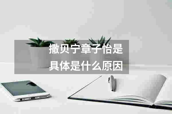 撒贝宁章子怡是具体是什么原因