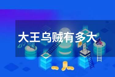 大王乌贼有多大