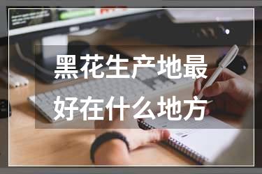 黑花生产地最好在什么地方