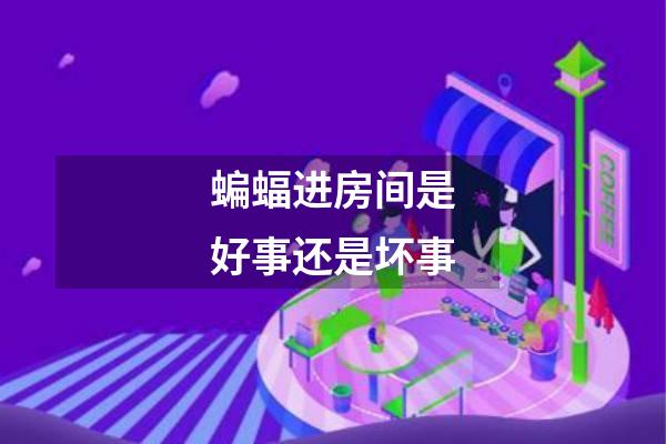 蝙蝠进房间是好事还是坏事