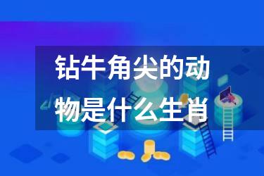 钻牛角尖的动物是什么生肖