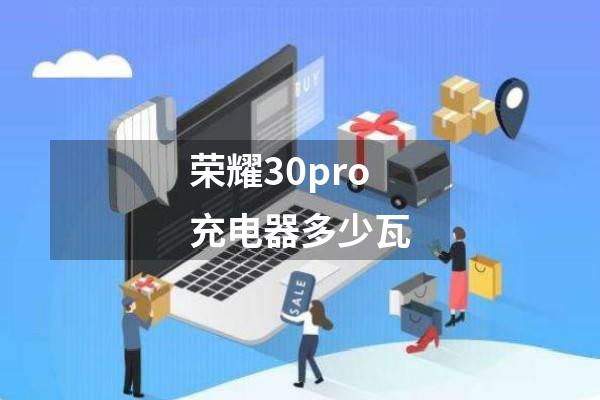 荣耀30pro充电器多少瓦