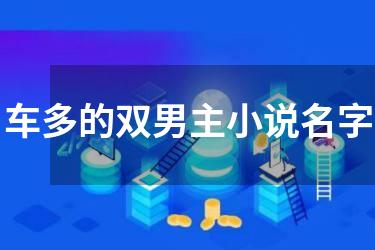车多的双男主小说名字