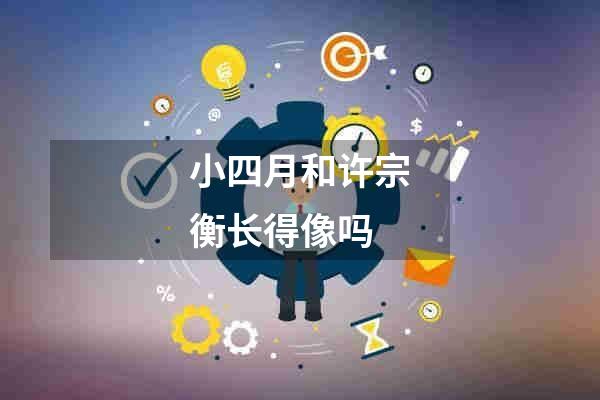小四月和许宗衡长得像吗