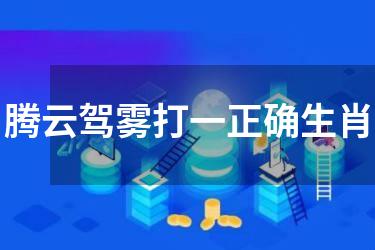 腾云驾雾打一正确生肖