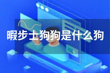 暇步士狗狗是什么狗