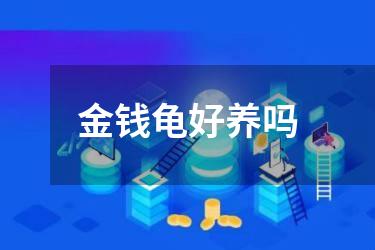 金钱龟好养吗