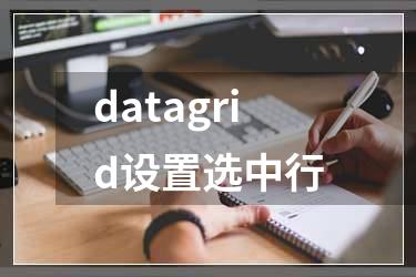 datagrid设置选中行