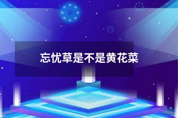 忘忧草是不是黄花菜