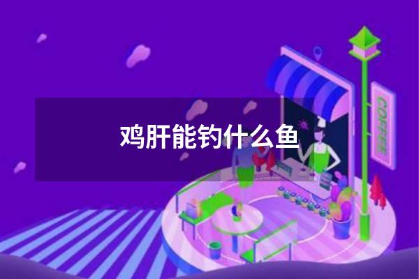 鸡肝能钓什么鱼