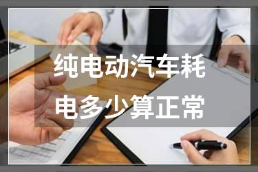 纯电动汽车耗电多少算正常