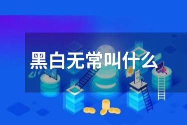 黑白无常叫什么