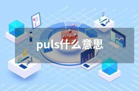 puls什么意思
