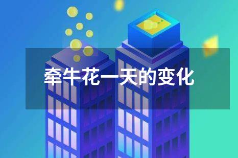 牵牛花一天的变化