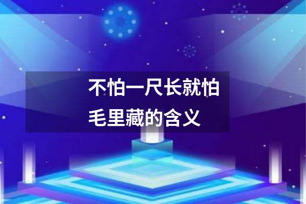 不怕一尺长就怕毛里藏的含义