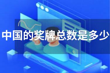 中国的奖牌总数是多少