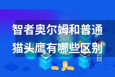 智者奥尔姆和普通猫头鹰有哪些区别