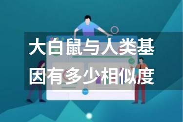 大白鼠与人类基因有多少相似度