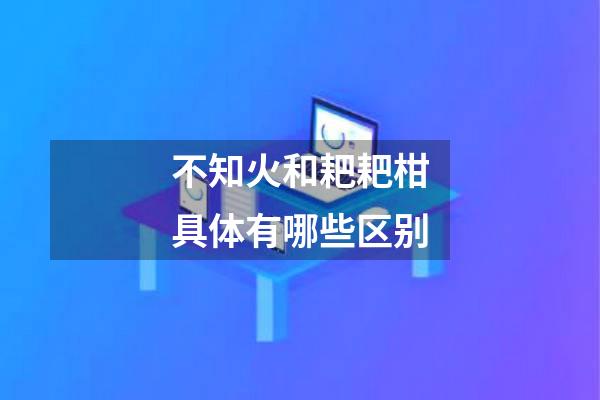 不知火和耙耙柑具体有哪些区别