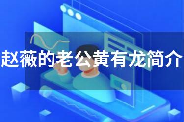 赵薇的老公黄有龙简介