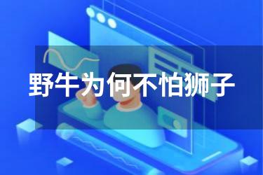 野牛为何不怕狮子