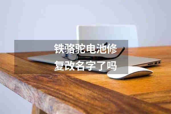 铁骆驼电池修复改名字了吗