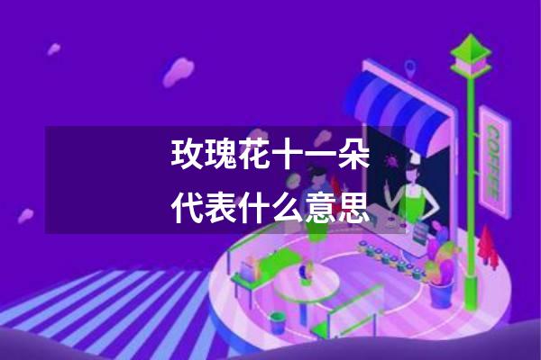 玫瑰花十一朵代表什么意思